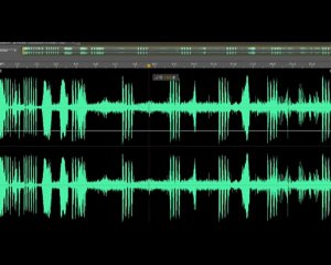 grenouilles reproduction brouaa.fr