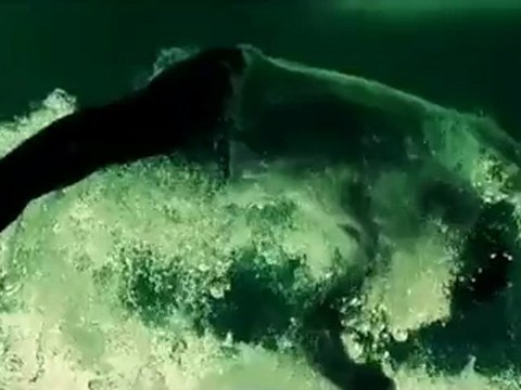 Dream On, Dreamer - Ambitions