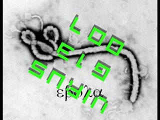 virus by david carpentier