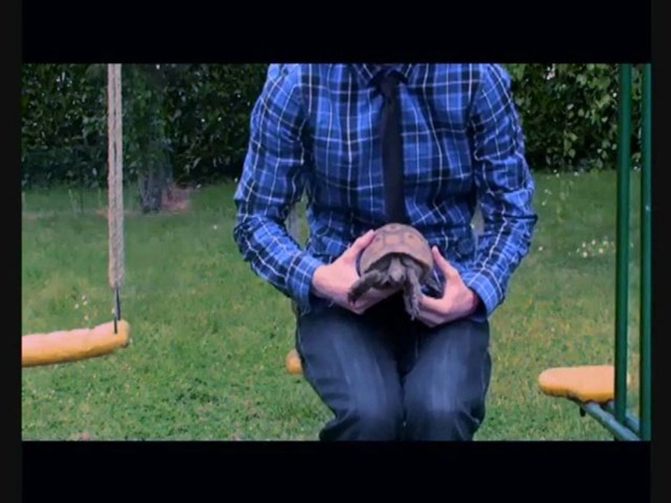 Une histoire d'amour de Tortue