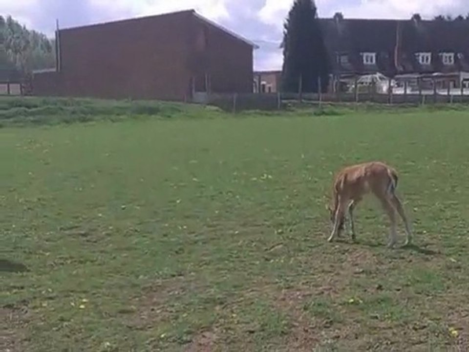 28 éme jours de vie de spirit