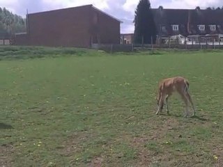 28 éme jours de vie de spirit