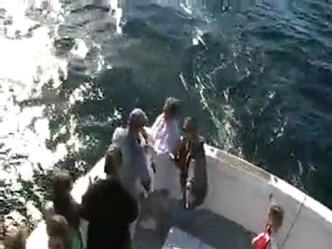 Destin Charter Boat Fishing. Deep Sea Fishing Charter Desti