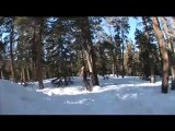deep woods Snowboarding Cabin Jib part in Snowboard film
