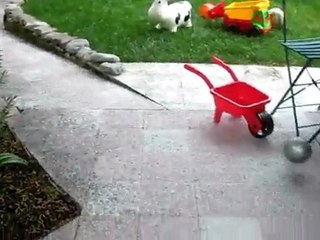 Evan, mon p'tit champion