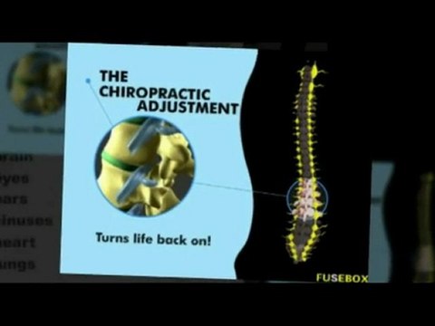 Cafe of Life | Boulder Chiropractors