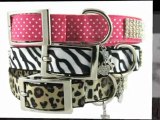 Rhinestone Dog Collars - FurryFashionista.com
