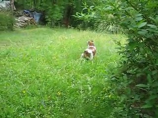 Siensien sien baton siensien sien !!!!!