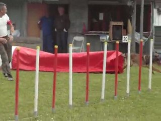 viet champ jump 2010