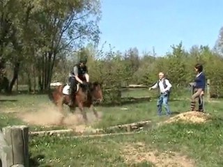 Cross de Bistelle  à Chartres avril 2010