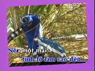 Muc Tim Mong Toi - Cam tien, Nam