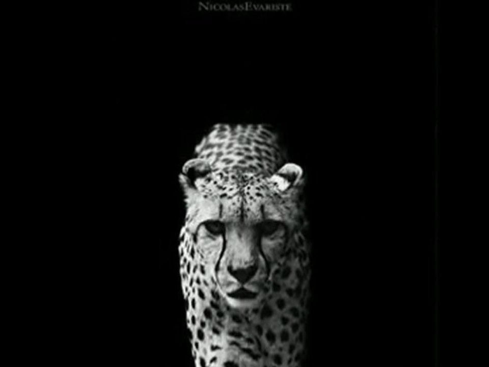 Nicolas Evariste.....