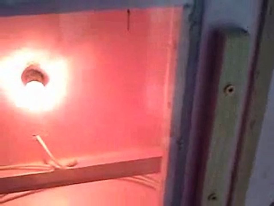 fabriquer une couveuse pour cellules de reines d'abeilles