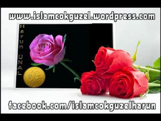 Hayat Kitabı Kur'an-ı Kerim