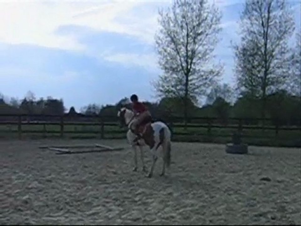 poney games