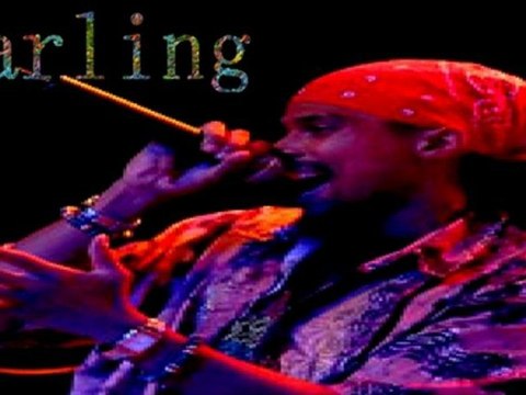 Kaf malbar - Darling