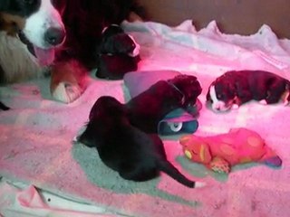 Bébés avec Braise : 02.05.10