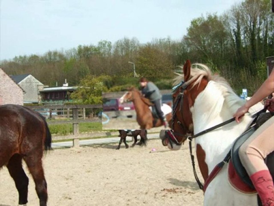 Jeux a cheval 25 avril