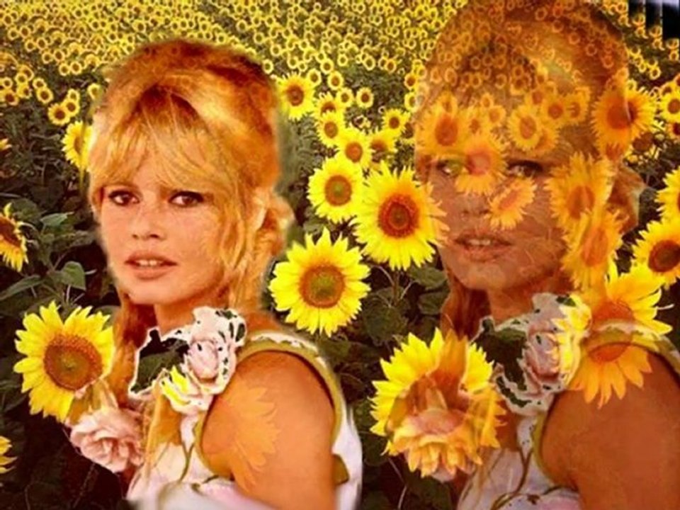 hommage à Brigitte Bardot