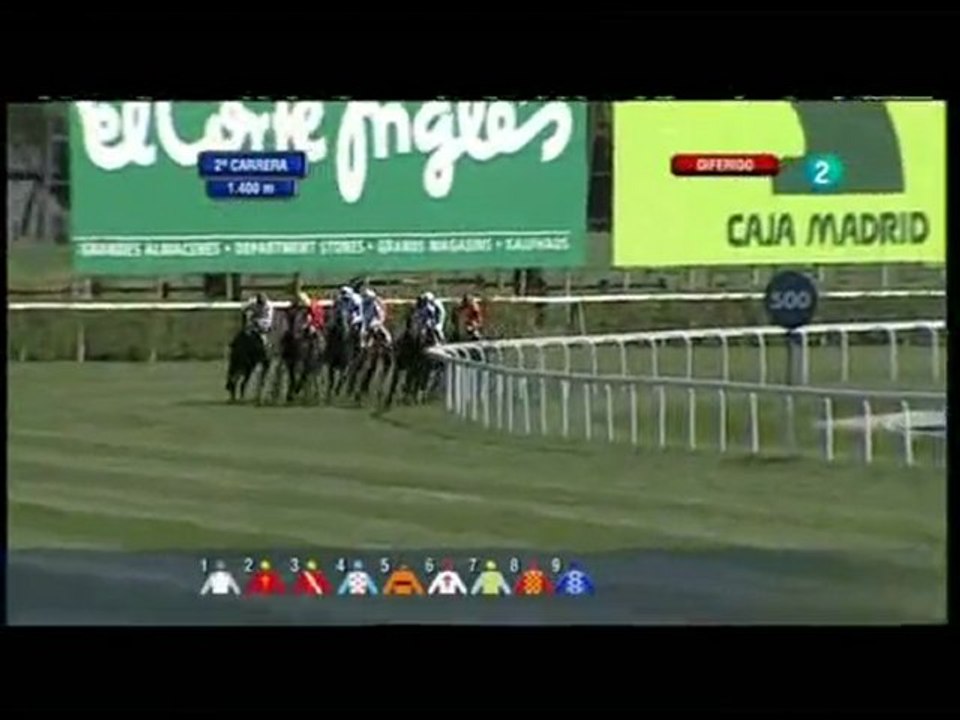 2010.05.02, n° 132 LZ (Cria Nacional (3a nac) Ottawa