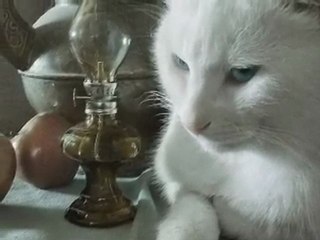 Adagio Vivaldi César Velev & Marion Fromonteil