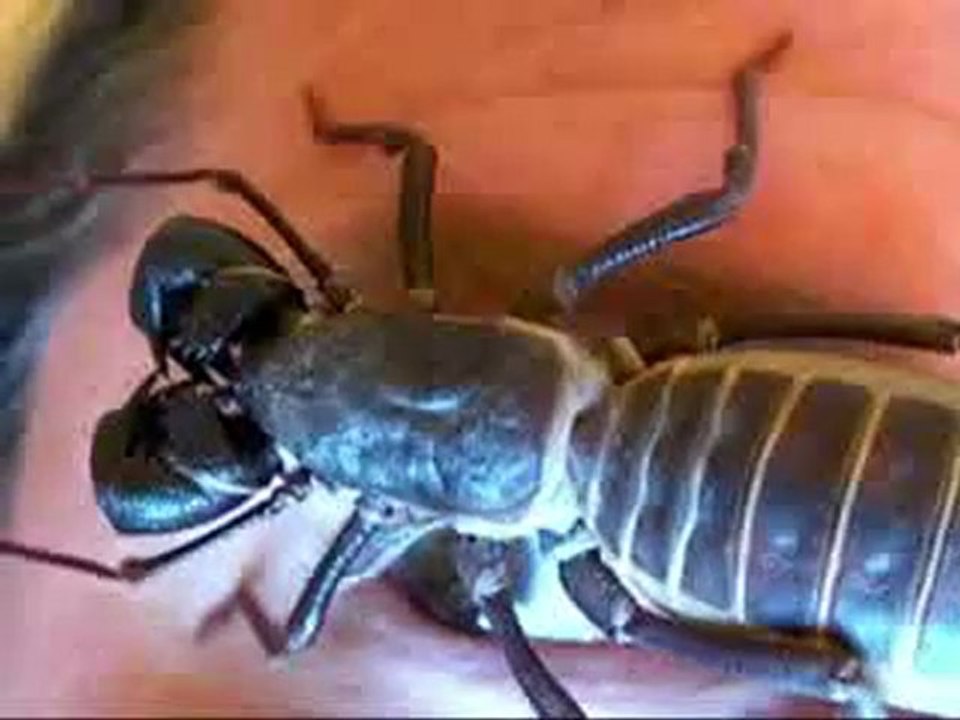 c'est quoi au juste...?