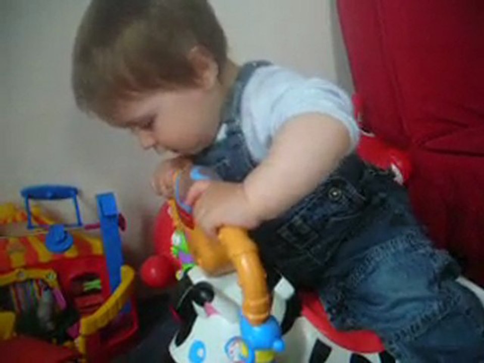 Robin et le zèbre tourni rebon !