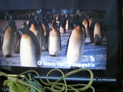 Candidature Coralie Reportour de France Soir