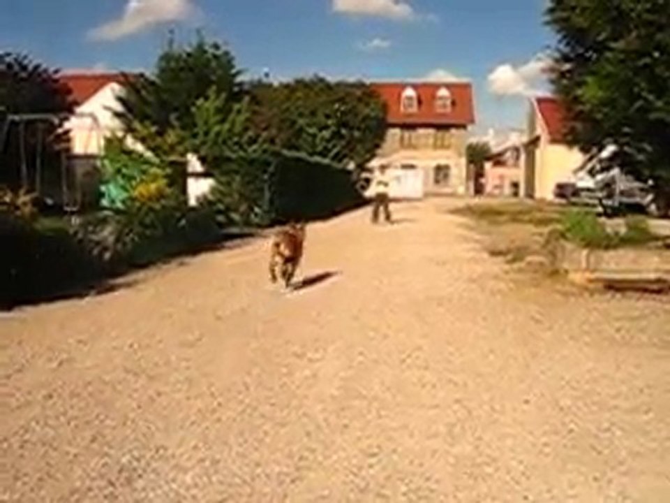 erkane