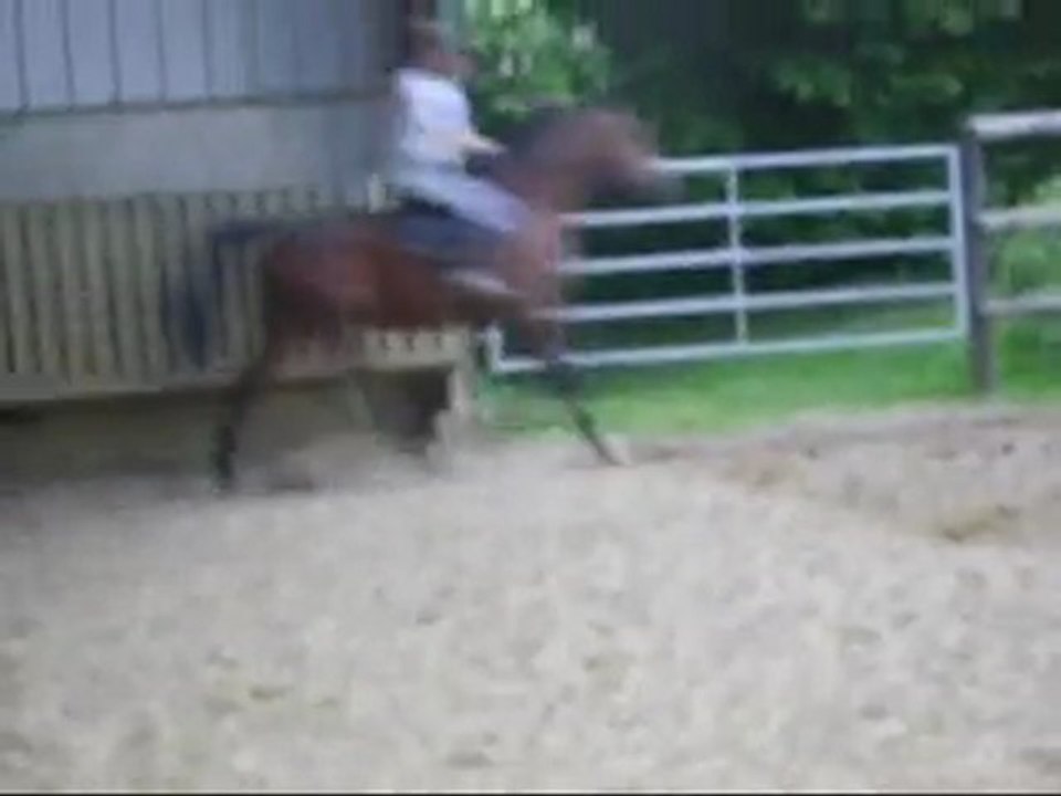 Perlani : galop a droite dans le manege