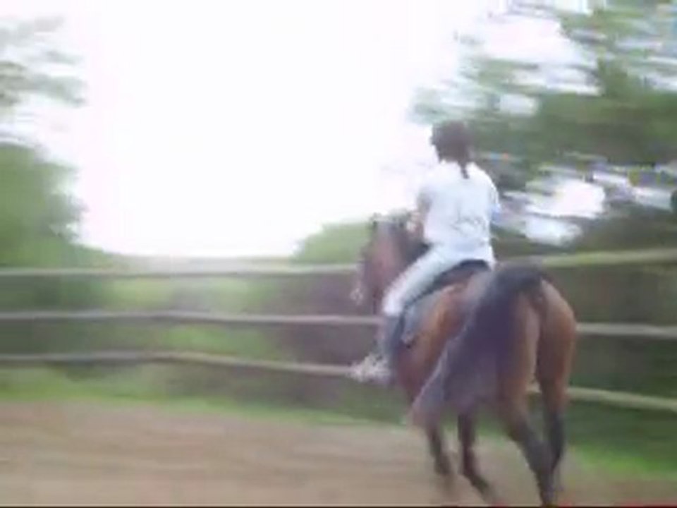 Perlani : galop a gauche dans le manege