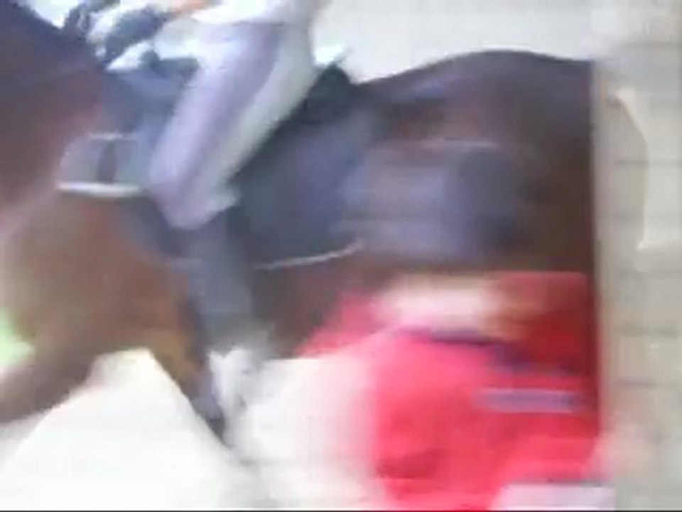 Perlani : cercles a gauche dans le manege