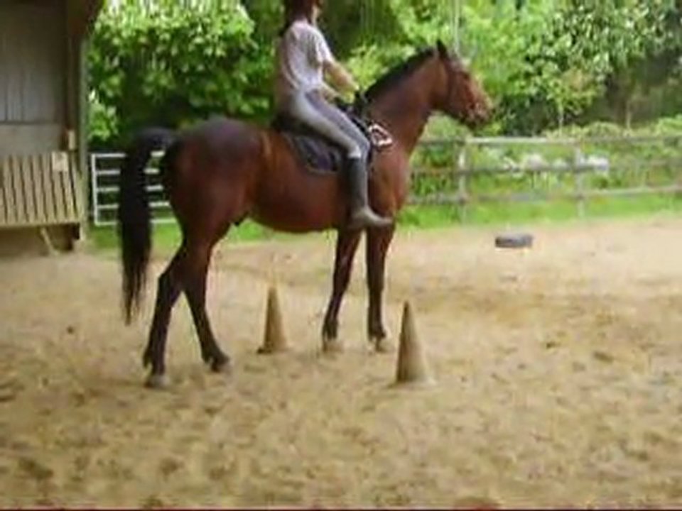 Perlani : slalom et arrêt à gauche