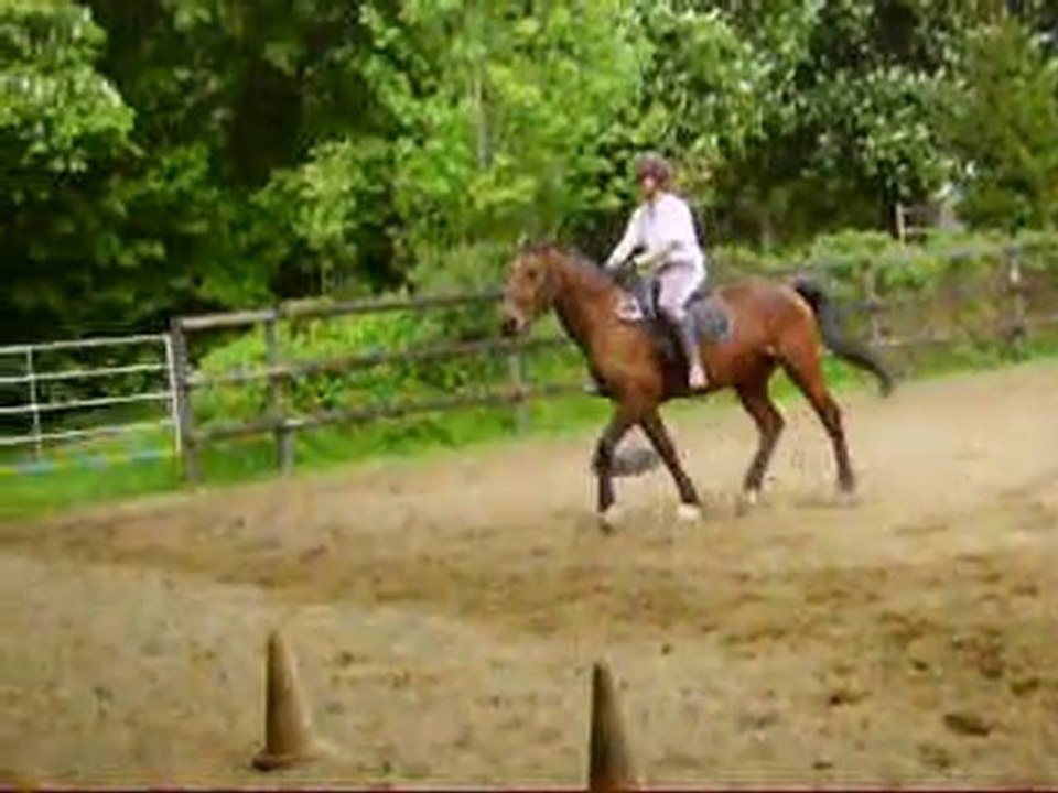 Perlani : cession a gauche au trot