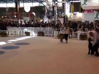 Salon de l'agriculture 2010 Fairy