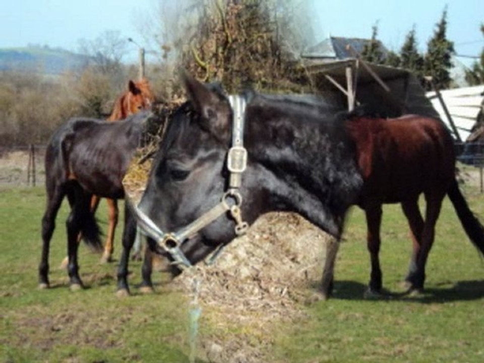 les six mois avant l arrivee de up en haute savoie