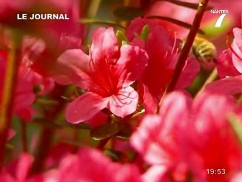Récolte de dons aux jardins (Nort-sur-Erdre)