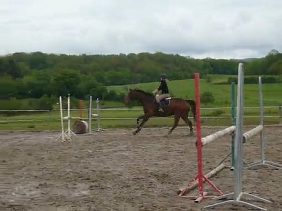Marjo double