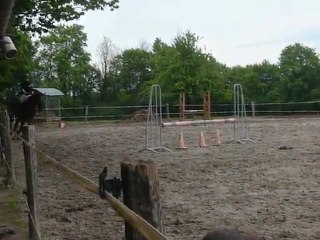 Marjo vertical cones