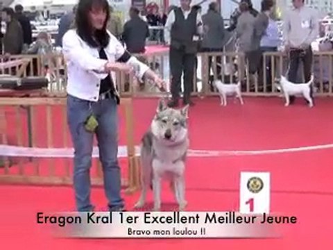 Expo Amiens 02 mai 2010