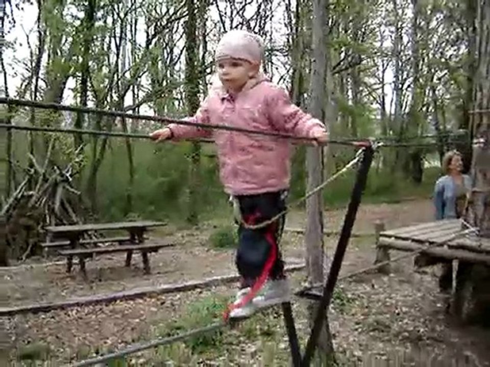 Pont népalais à l'accrobranche