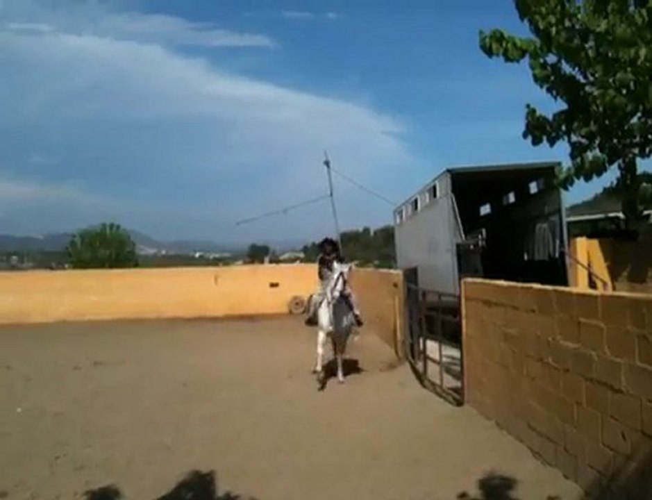 Roki y Pegaso