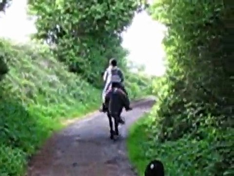 ulys trot extérieur 2 mai