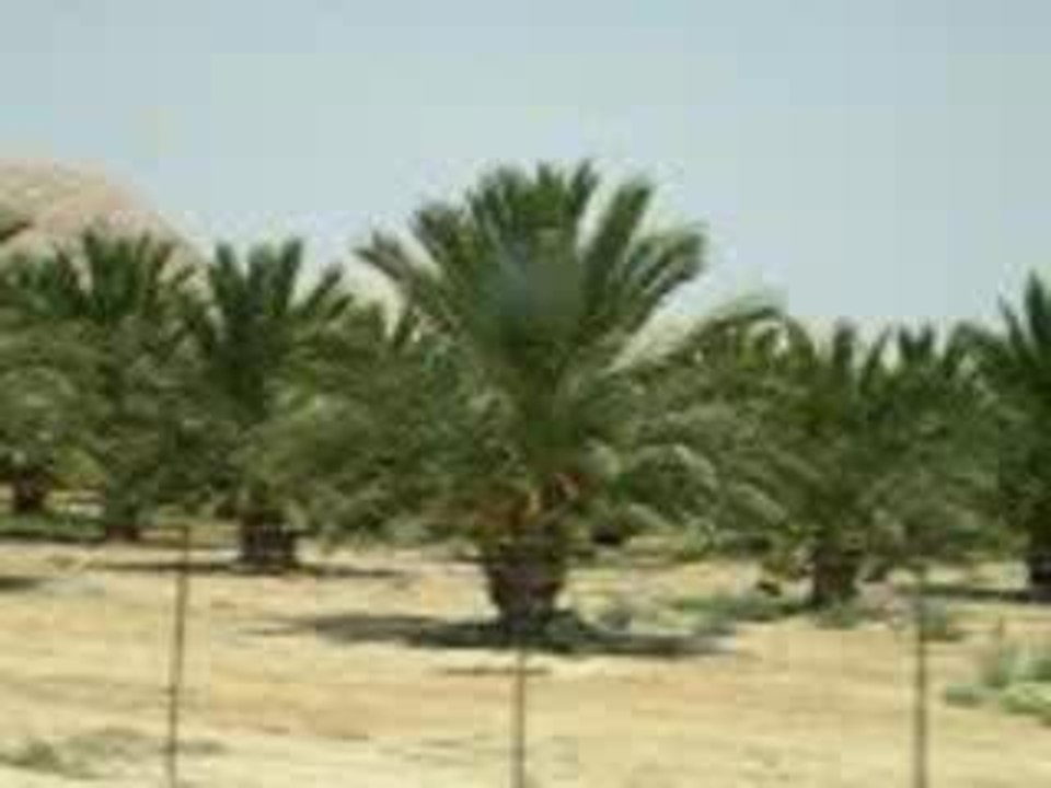 Voyage vers Eilat