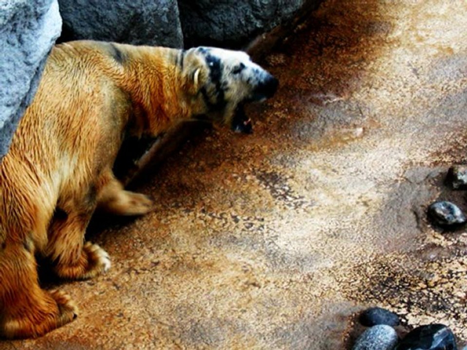 "Carnet de Bord" du REPORTER by Joris