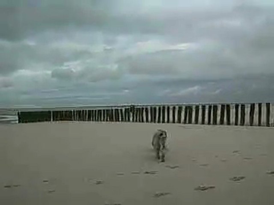 EXTRA  ET  DEUS A  BERCK