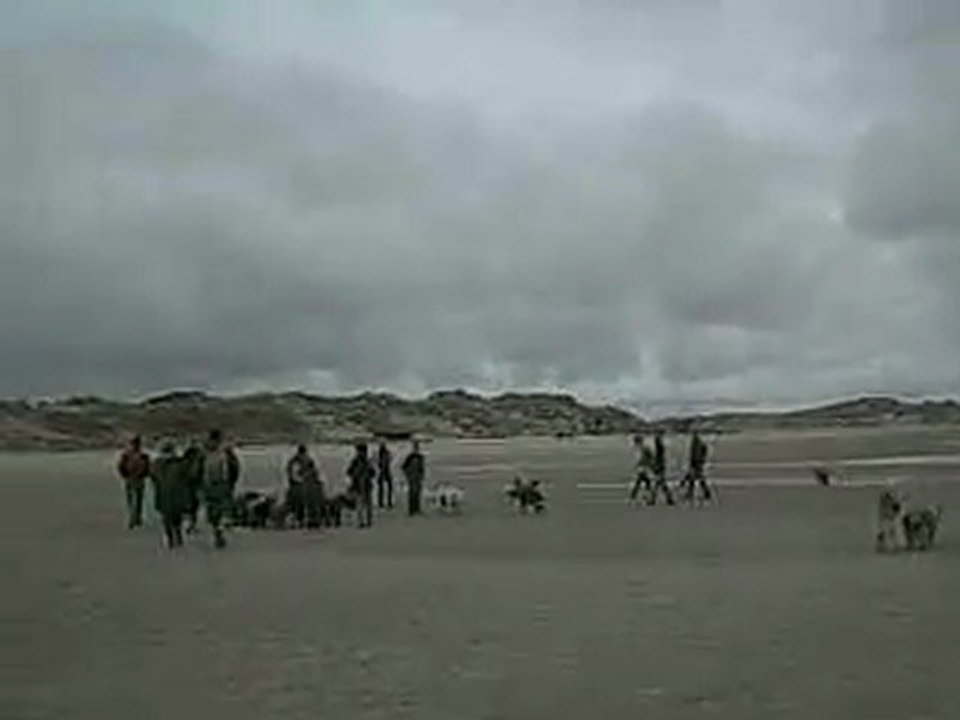DEUS ET EXTRA A  BERCK