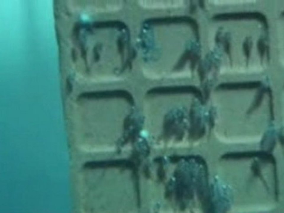 20100428102620