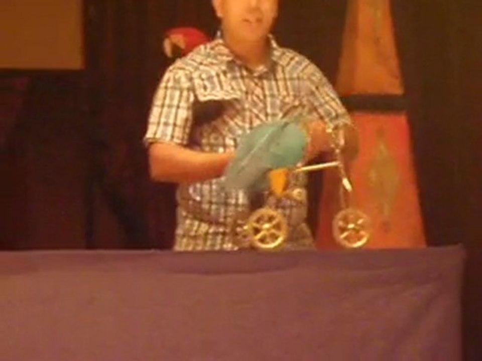 perroquet