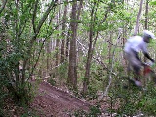 dh st léonard des bois